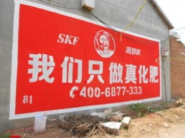 长兴刷墙广告”蕴含了时代命题