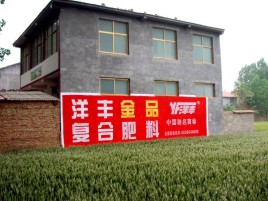 长兴如何让墙体广告展现最大化效果