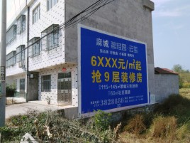 长兴墙体广告质量分析