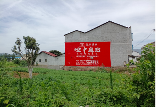 长兴做墙体广告的意义